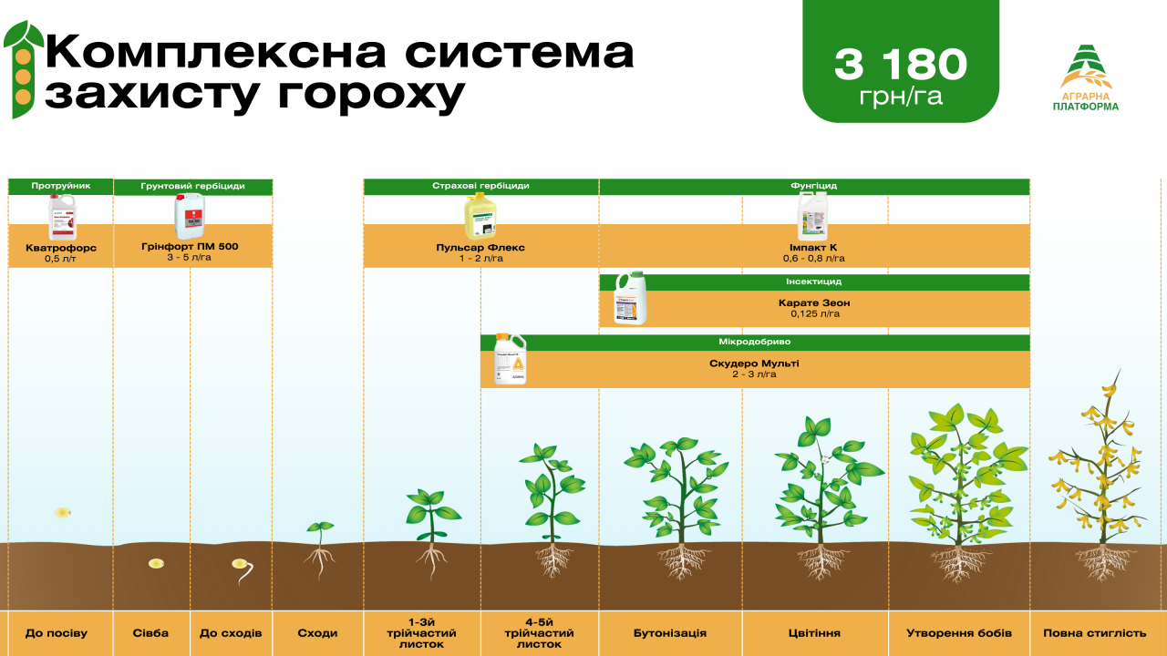 Комплексная система защиты гороха Комплексная система защиты гороха
