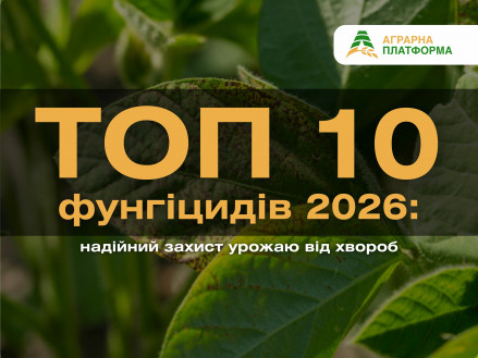 Оберіть найкращі фунгіциди 2026 року — Аканто Плюс, Абакус, Імпакт К, Амістар Голд. Стійкий захист культур від грибкових хвороб і стресів.