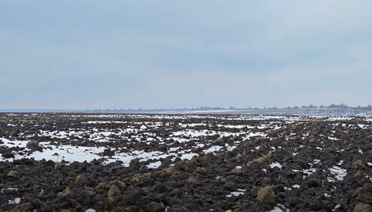 Чому та для чого потрібно вносити сульфат амонію по мерзлоталому ґрунту?