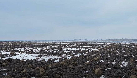 Чому та для чого потрібно вносити сульфат амонію по мерзлоталому ґрунту?