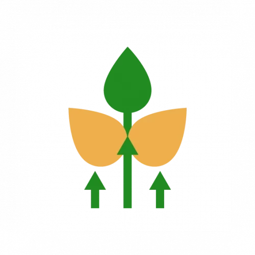 Регулятори росту