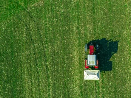 Что такое азотные удобрения: виды, правила использования, норма внесения