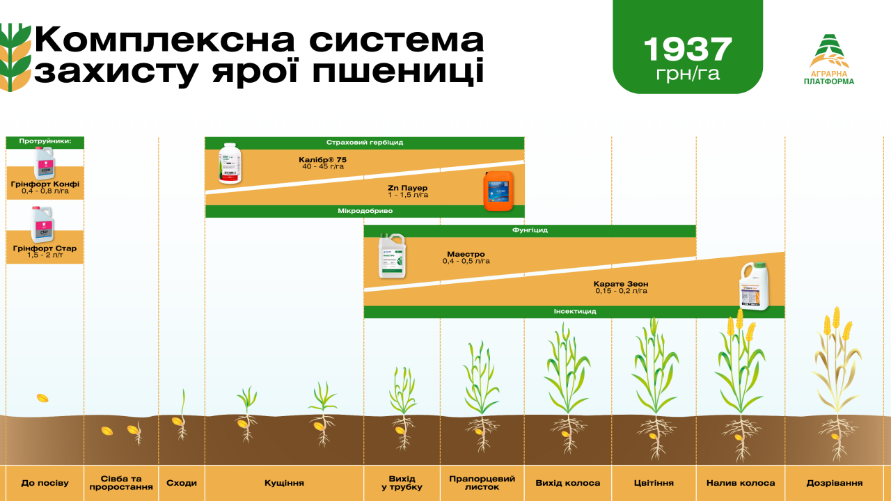 Комплексна система захисту ярої пшениці