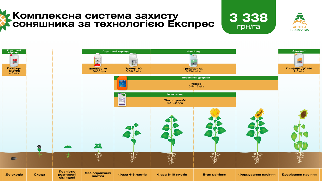 Комплексная система защиты подсолнечника с технологией Экспресс Комплексная система защиты подсолнечника с технологией Экспресс