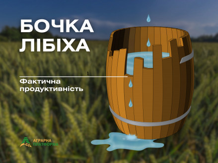 "Бочка Лібіха" основа ефективного живлення рослин