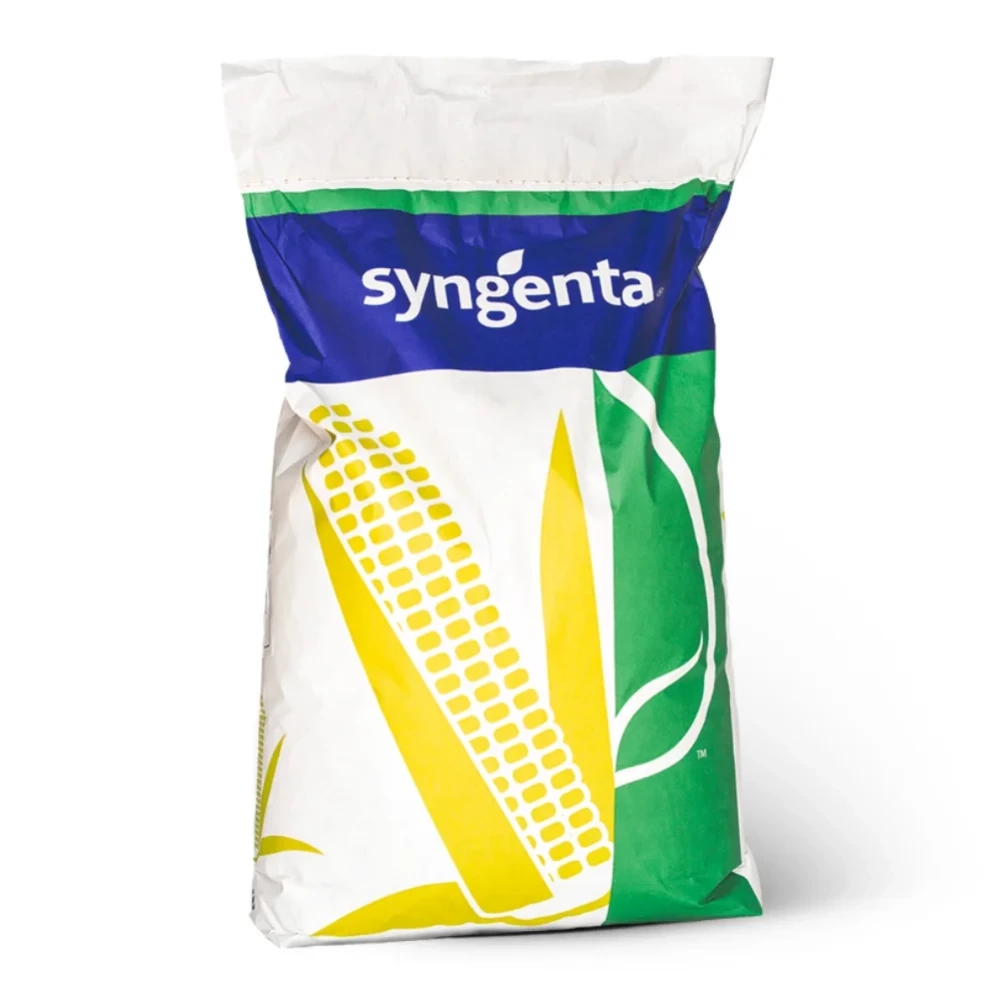Гибрид кукурузы СИ Зефир (SY Zefir) от производителя Syngenta