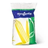 Гибрид кукурузы СИ Зефир (SY Zefir) от производителя Syngenta