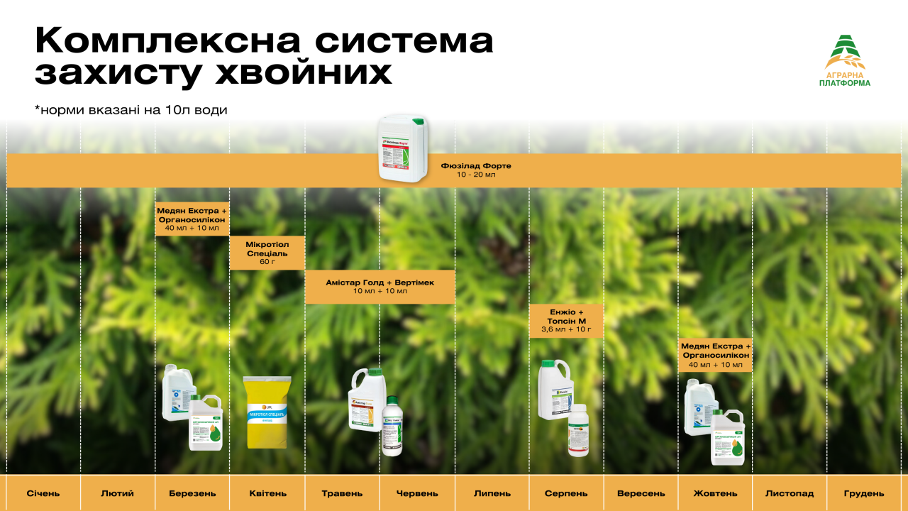 Захист хвойних від хвороб та шкідників