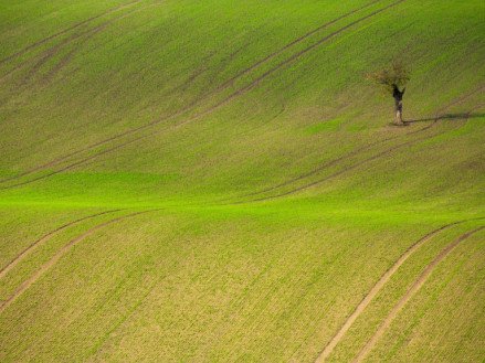 Топ 10 лучших гербицидов: описание, применение, действие