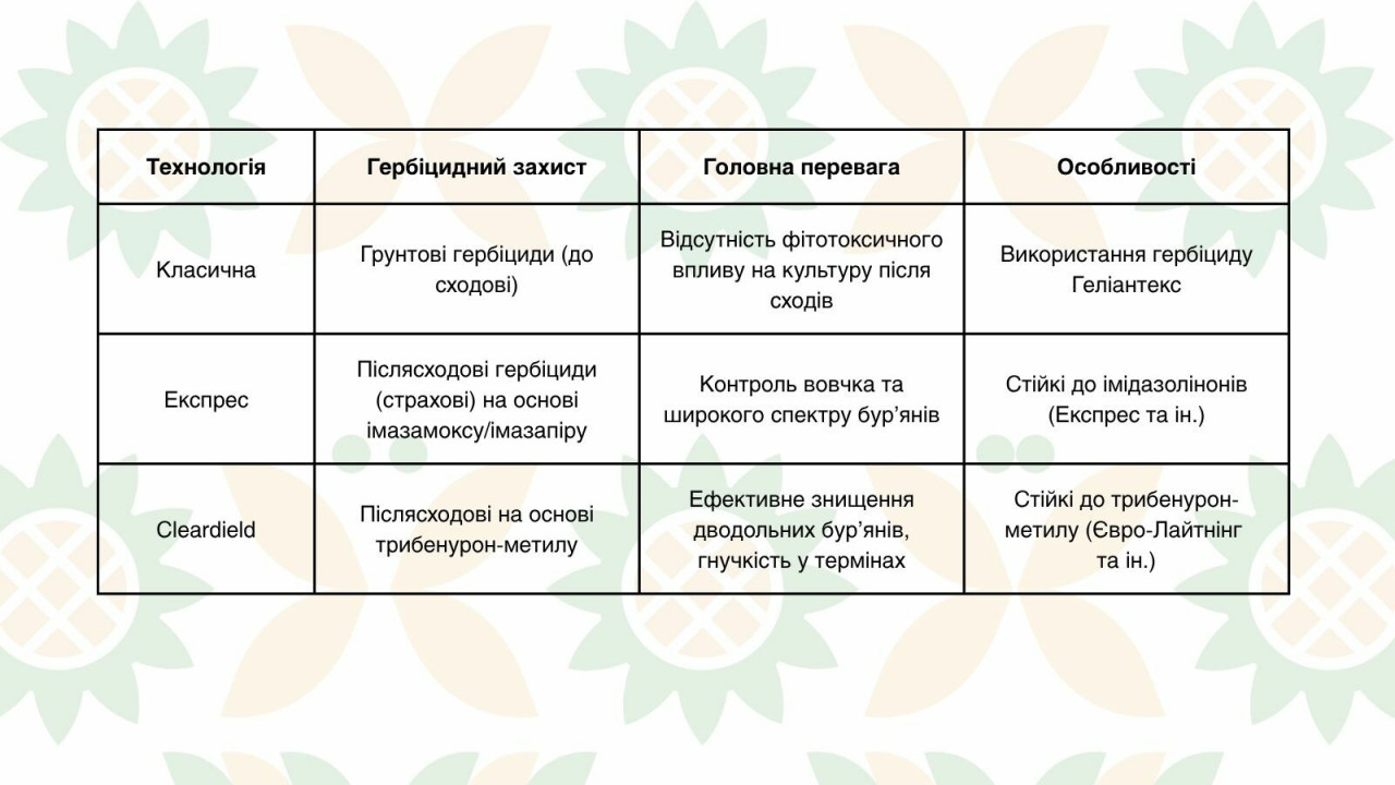 Різниця та особливості між технологіями вирощування соняшника