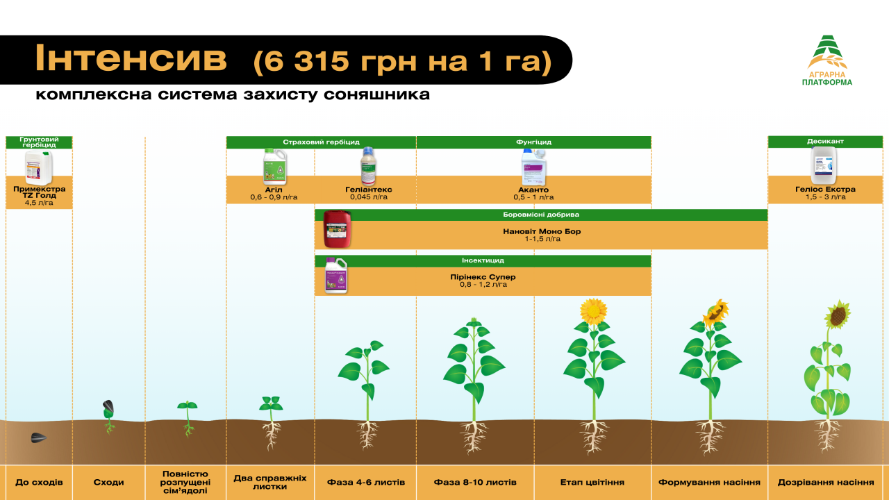 Комплексна, інтенсивна система захисту соняшника