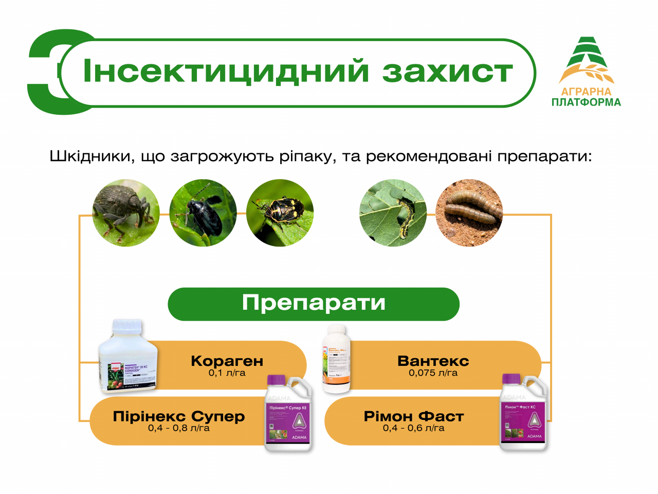 Комплексна система осіннього захисту ріпаку