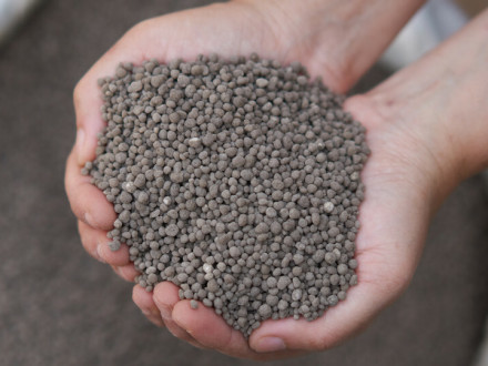 Суперфосфат: ефективне фосфорне добриво для всіх типів ґрунтів