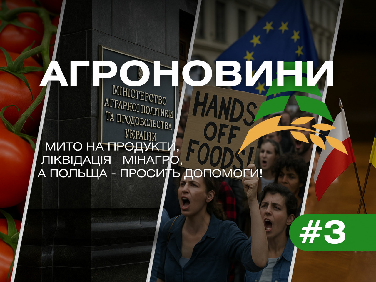 Пошлина на продукты, ликвидация минагро, а Польша – просит помощи! Пошлина на продукты, ликвидация минагро, а Польша – просит помощи!