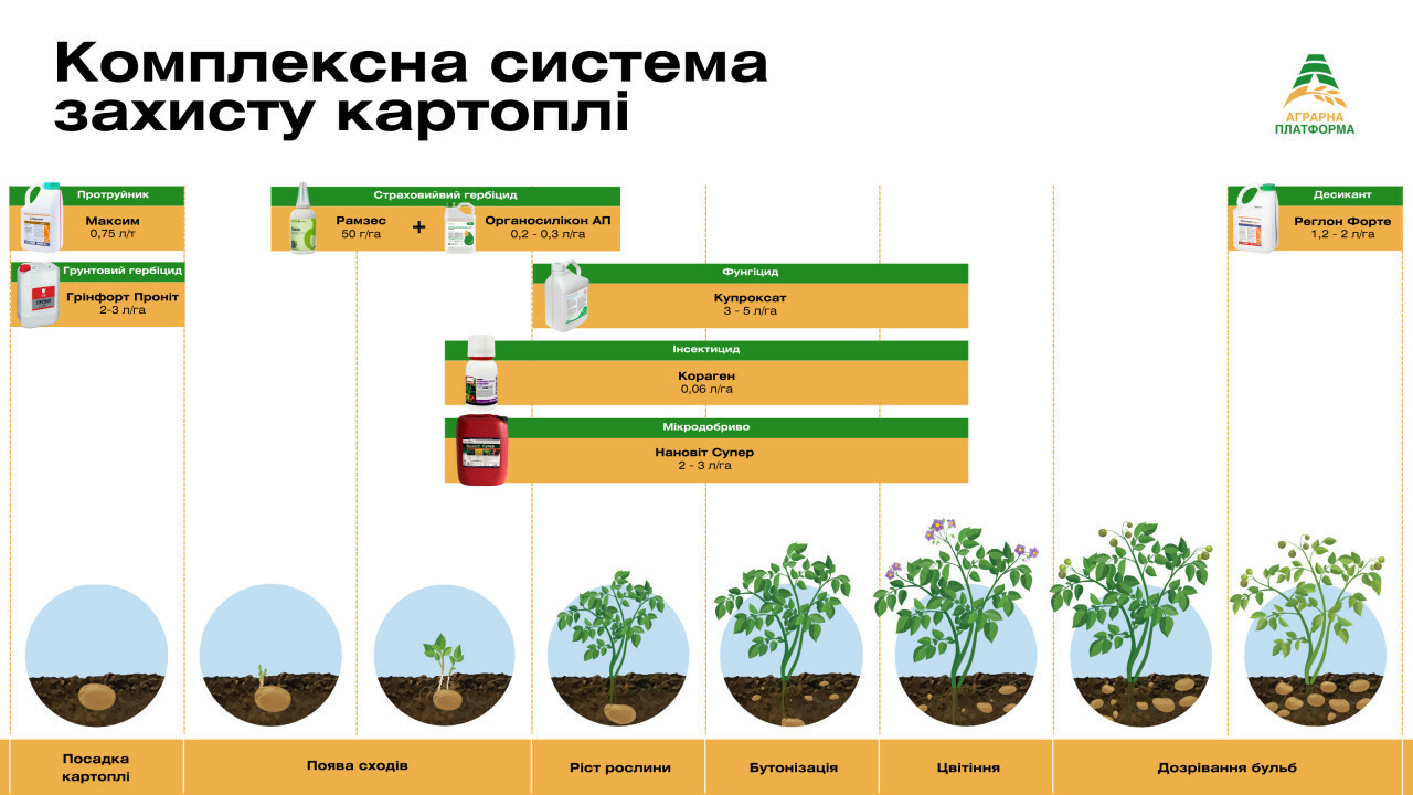 Комплексна система захисту картоплі від Аграрної Платформи