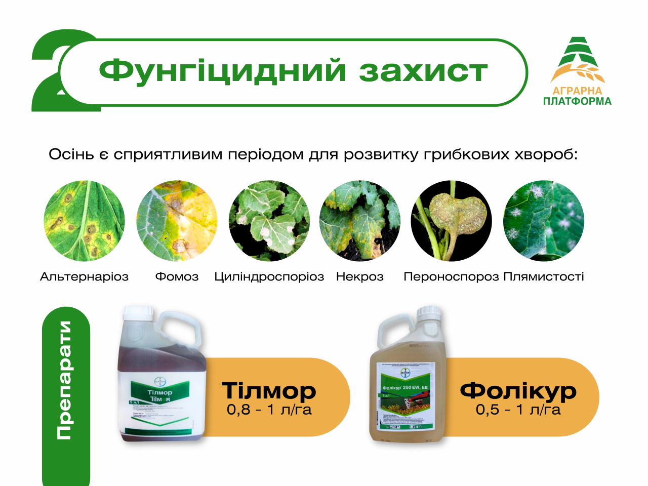 Комплексна система осіннього захисту ріпаку