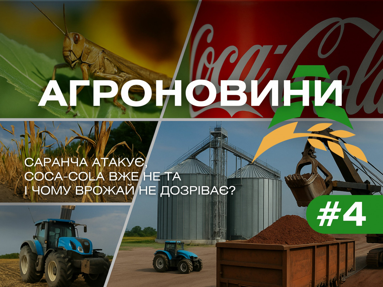 Сарана атакует, Coca-Cola уже не и почему урожай не созревает? Сарана атакует, Coca-Cola уже не и почему урожай не созревает?