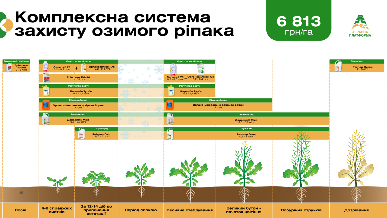 Комплексная система защиты рапса весной