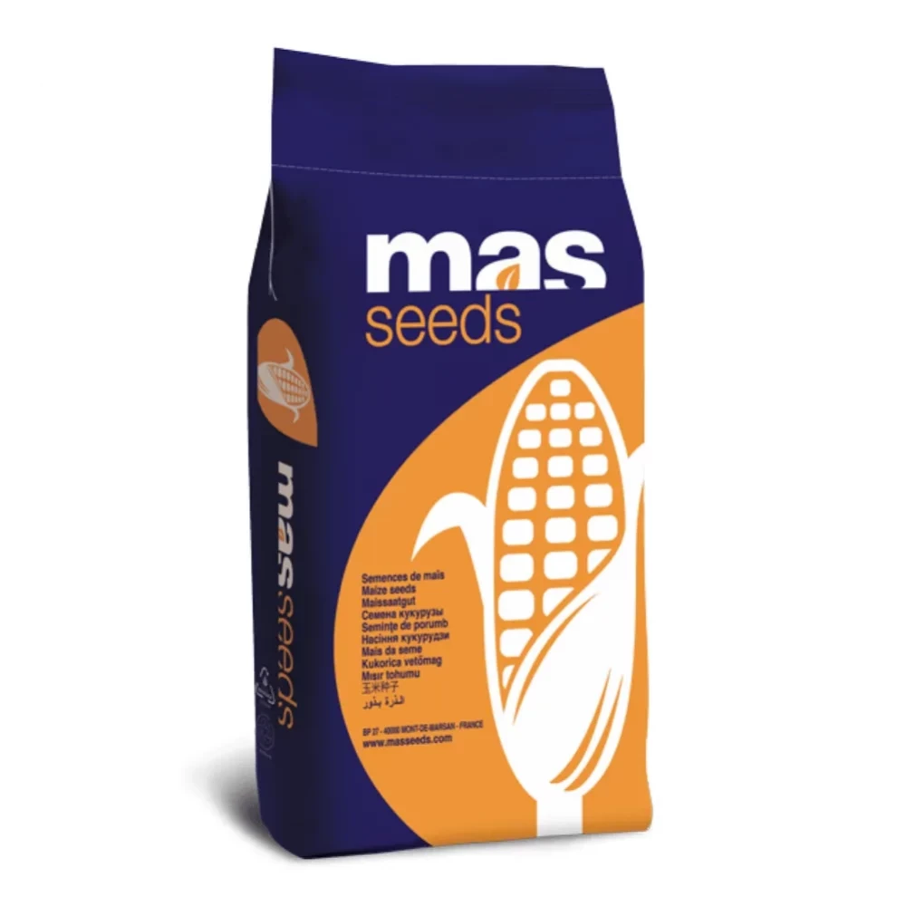 Гибрид кукурузы МАС 24.Ц (MAS 24.C) от производителя MAS Seeds Гибрид кукурузы МАС 24.Ц (MAS 24.C) от поставщика Аграрная платформа