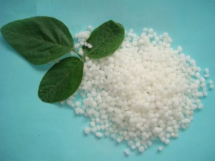 Аміачна селітра: універсальне азотне добриво для підвищення врожайності