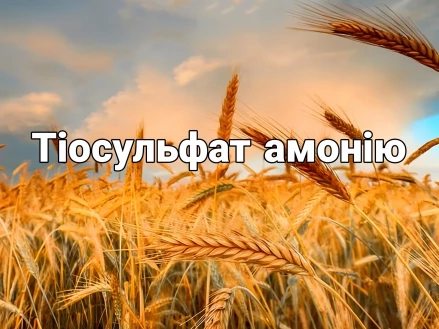Тіосульфат амонію: переваги, застосування та рекомендації щодо норми внесення