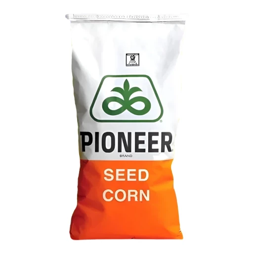 rZKlw14mtt.webp?w=1024&h=512&