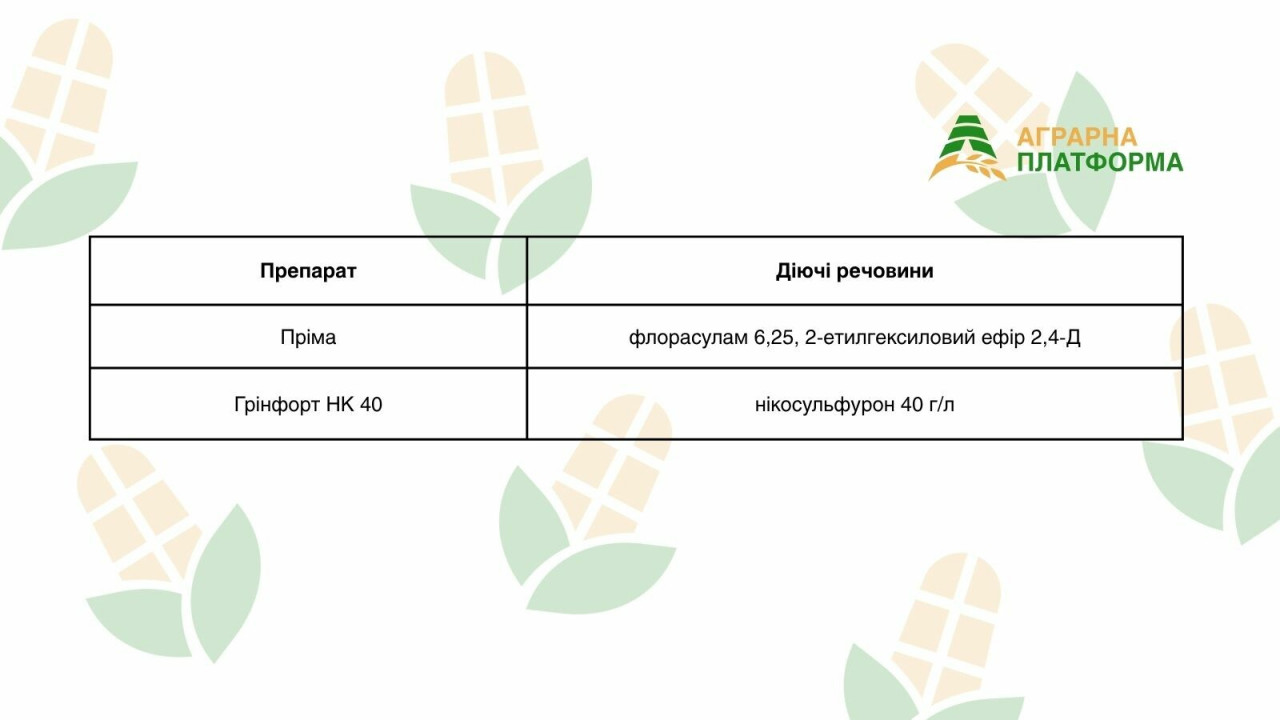 Рекомендові гербіциди для захисту кукурудзи від злакових і дводольних бур'янів