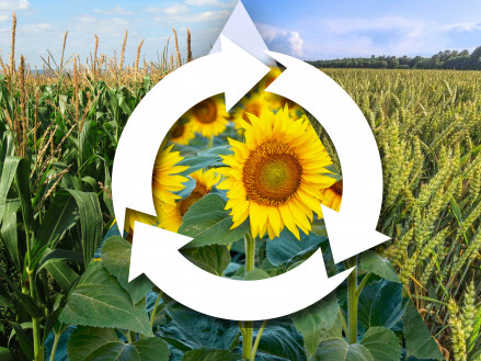 Сівозміна - економічна доцільність та переваги для аграріїв