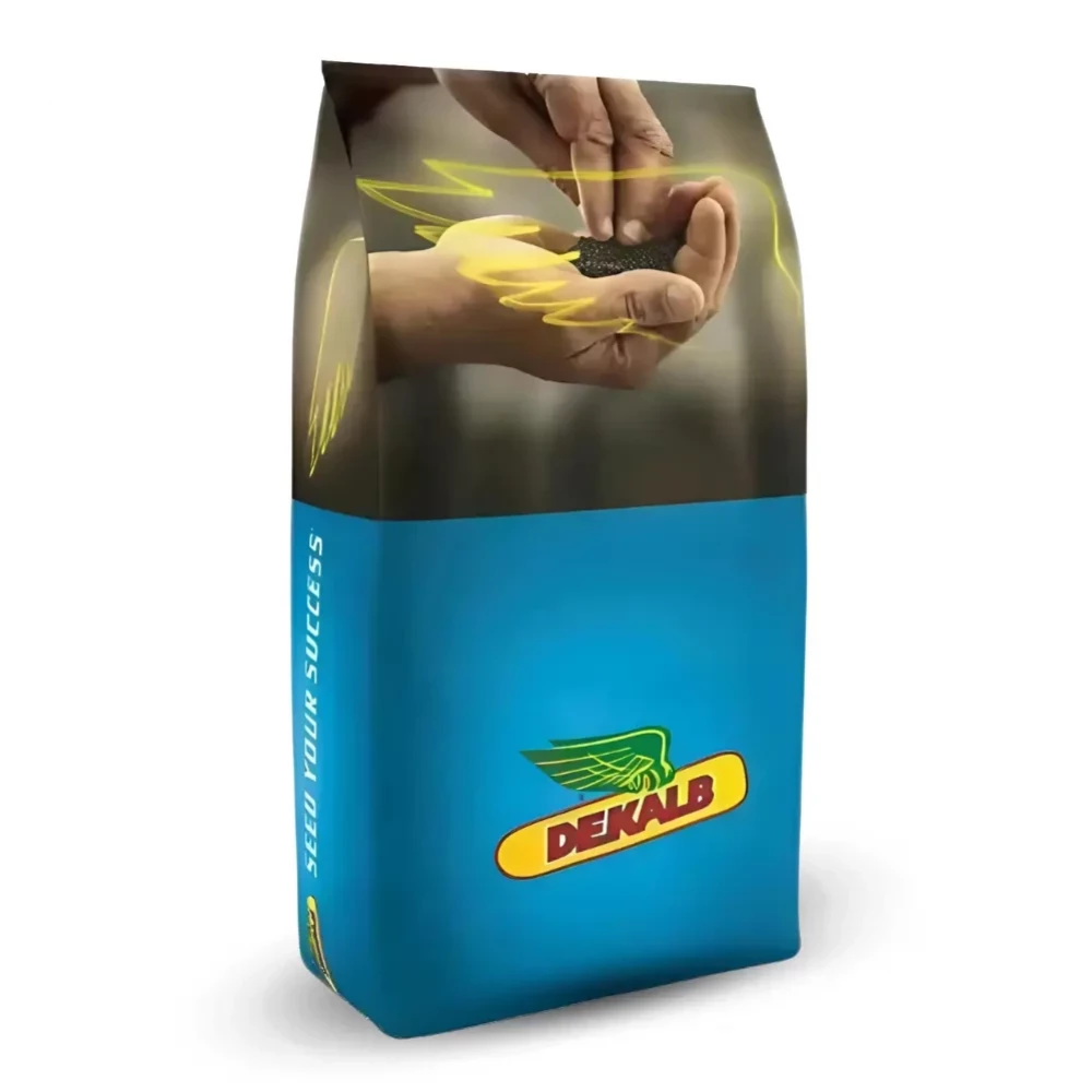 Насіння ріпаку Сефор від постачальника Аграрна Платформа