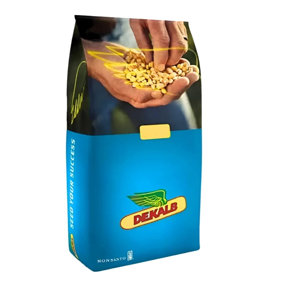 Семена кукурузы ДКС4598 от поставщика Аграрная платформа
