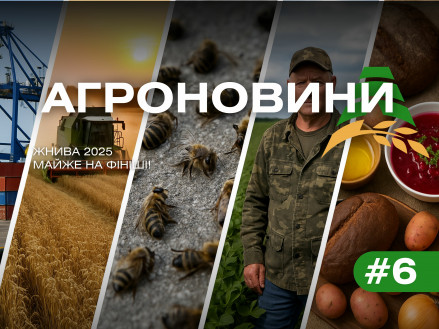 Схема века, урожай в амбарах и пчелы под ударом Схема века, урожай в амбарах и пчелы под ударом