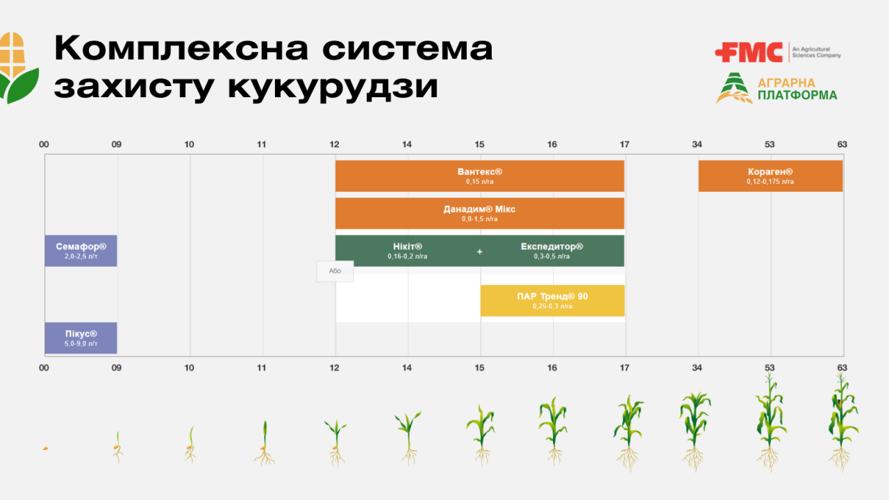 Комплексна система захисту кукурудзи